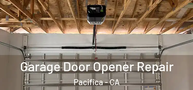  Garage Door Opener Repair Pacifica - CA