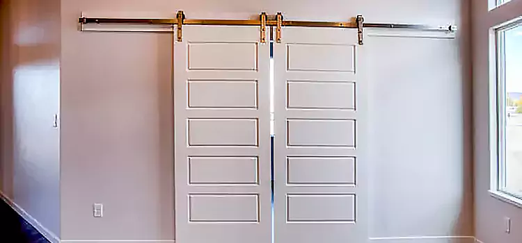 Glass Barn Door with Installation Hardware Kit Pacifica