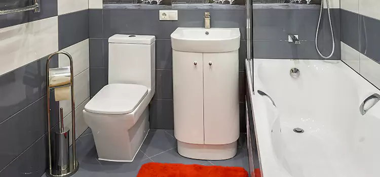 Hansgrohe Shaving Mirror Pacifica