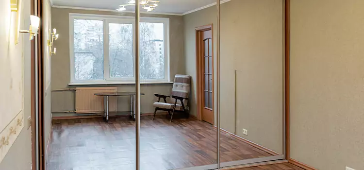 Mirror Closet Door Roller Replacement Pacifica